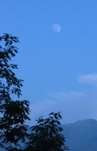 The moon at twilight