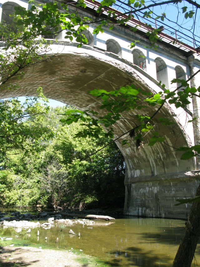 Can you see the arm?