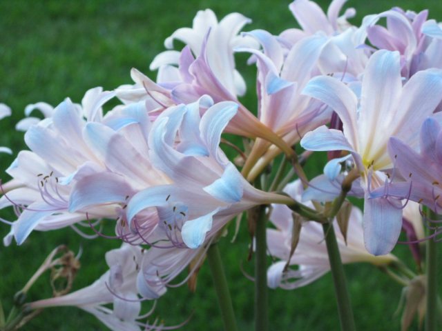 I want spring and I want it now!