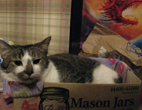 Billy has hunkered down.  He's afraid of frogs.