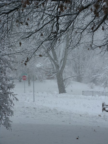 Except that this picture depicts how I feel when I think of never writing again.  Could I have a little less winter in my winter, please?