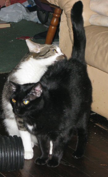 "Hey! Momma's story made someone's day a little better!" "I know!" "I'm stillgoing to bite you."