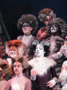 I'd rather watch cats sing and dance than most reality television.