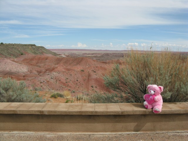 I think Brian loved the painted desert most of all