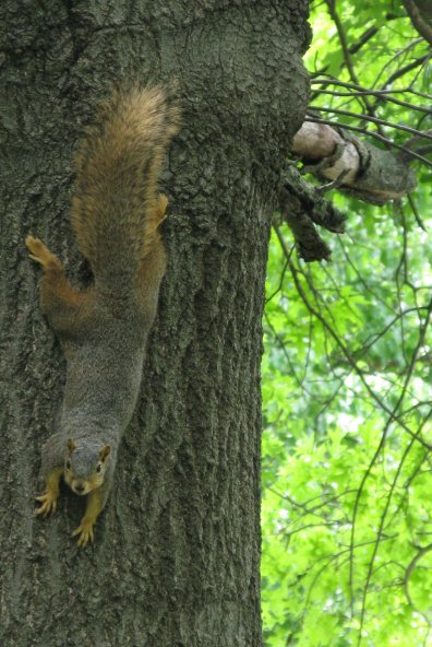 Who you looking at? You looking at me?