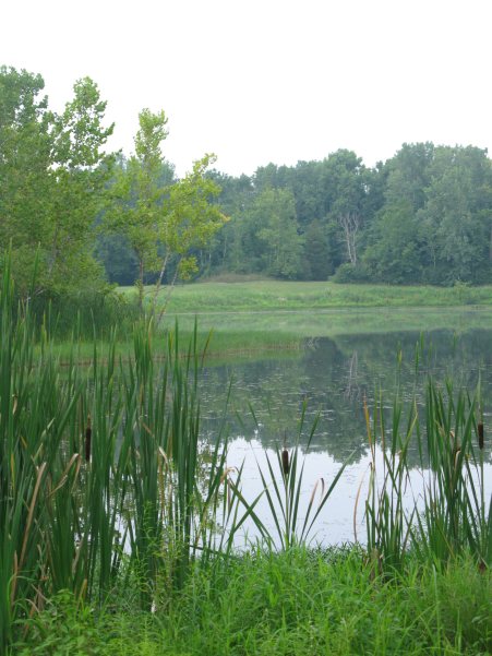 Maybe I should write picture books.  So easy to show with pictures.  This is my view at the end of the trail I bike.