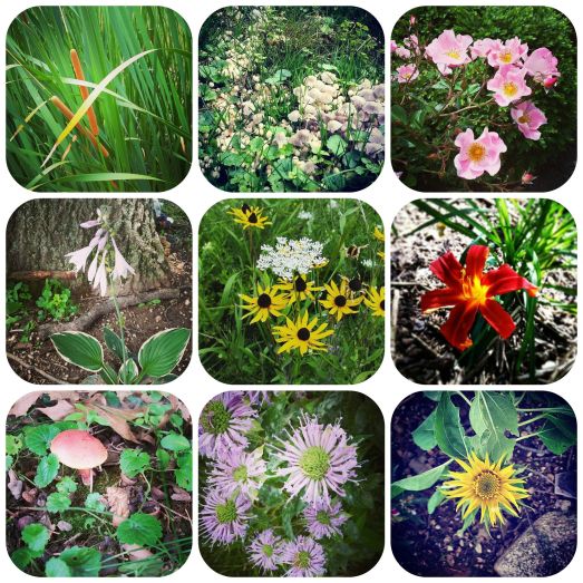 Instagram is awesome!